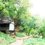 TENT-11